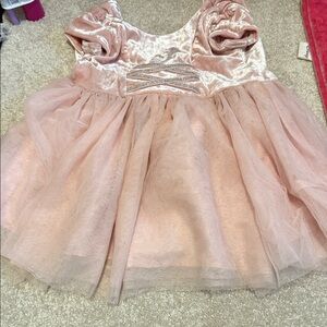 The Children's Place Blush Velvet and Tulle Dress